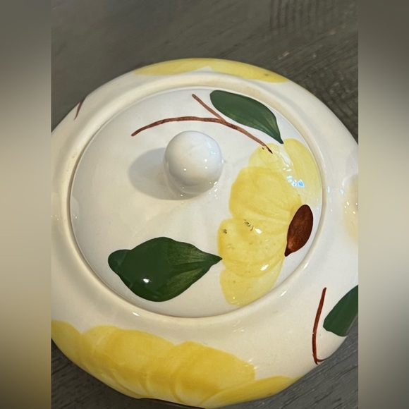 Vintage Blue Ridge Pottery cream and sugar set Sun Bouquet pattern hand-painted - Picture 10 of 13